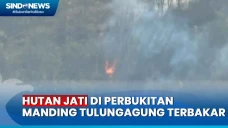 Kawasan Hutan Jati di...