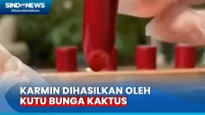 PWNU Jatim Haramkan...