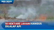 10 Hektare Lahan Hangus...