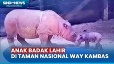 Kabar Gembira! Anak...