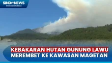 Gawat! Kebakaran Hutan...