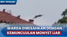 Warga Jakarta Timur...
