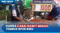 Imbas Kemarau Panjang,...