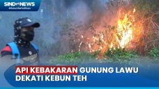 Api Dekati Perkebunan...