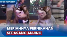 Unik, Resepsi Meriah...