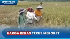 Soal Harga Beras Meroket,...
