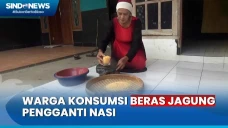 Mengenal Beras Jagung,...
