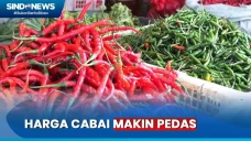 Ternyata Ini Pemicu...