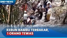 Kebakaran Kebun Bambu...