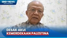 MUI Desak Dunia Internasional...