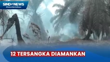 Polisi Amankan 12 Tersangka...