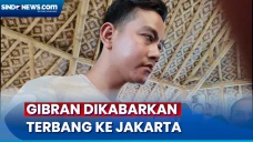 Gibran Dikabarkan Terbang...