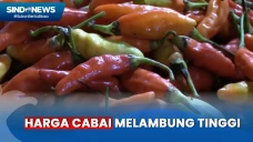 Dampak Kemarau, Harga...