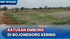 Ratusan Embung Kering...