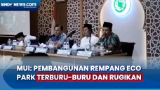 Minta Pembangunan Rempang...