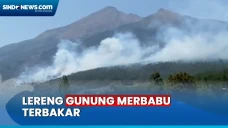 Kebakaran Lereng Gunung...