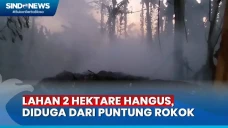 Diduga Akibat Puntung...
