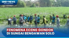 Ratusan Relawan Bersihkan...
