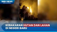 50 Hektare Hutan dan...