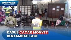 Temuan Kasus Cacar Monyet...