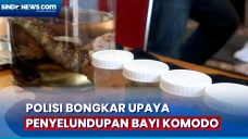 Sindikat Penyelundupan...