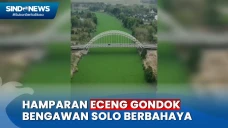 Hamparan Eceng Gondok...