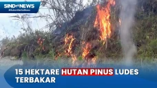 Dekati Permukiman Warga,...
