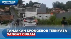 Tanjakan Curam Spongebob...