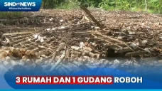 Diterjang Hujan dan...
