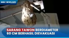 Bertengger di Rumah...