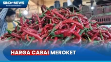 Harga Cabai Rawit Merah...