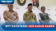 Ada 1.823 Kasus Rabies...
