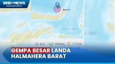 Breaking News, Halmahera...