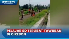 Belasan Pelajar SD Terlibat...