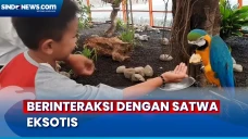 Berinteraksi dengan...