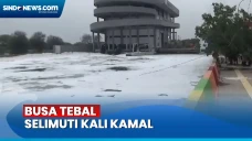 Kali Kamal Diselimuti...