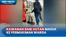 Tiba-Tiba Masuk ke Permukiman...