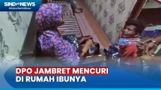 DPO Jambret Mencuri...