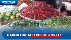 Harga Cabai di Pasar...