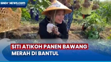 Siti Atikoh Ganjar Panen...