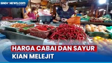 Cabai Sentuh Rp120 Ribu...