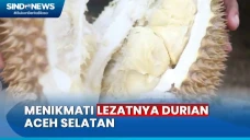 Nikmatnya Durian Khas...