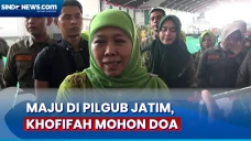 Nyatakan Maju di Pilgub...