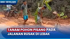 Warga Tanam Pohon Pisang...