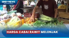 Harga Cabai Rawit di...
