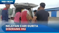 Menyelam Cari Gurita...