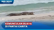 Warga Resah Kemunculan...