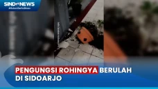 Viral! Pengungsi Rohingya...