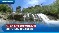 Menjelajah Hutan Quarles...