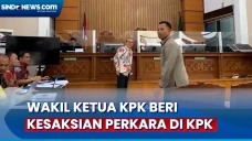Jadi Saksi Meringankan...